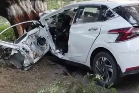 હાંસોટ મા વૃક્ષ સાથે ધડાકાભેર અથડાઈ, 3 નાં મોત