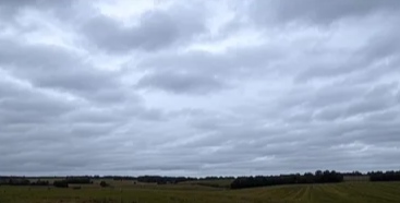 રાજ્યના અનેક વિસ્તારોમાં ભર શિયાળે ચોમાસા જેવો માહોલ