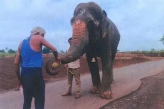 ઇજાગ્રસ્ત હાથી મહાદેવીને અનંત અંબાણીના ‘રાધે કૃષ્ણ ટ્રસ્ટ’ સંચાલિત ગુજરાત સેનચ્યુરીમાં ખસેડવા બોમ્બે HC ની મંજૂરી